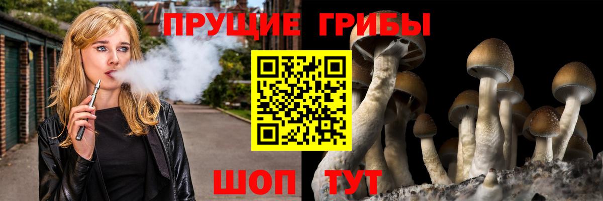Псилоцибиновые грибы мухоморы  где купить   Дмитров  Вход с VPN 
